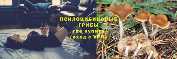 дурь Абдулино