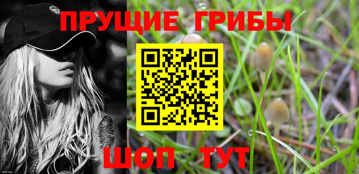 Тында  Галлюциногенные грибы Psilocybe  Вход с VPN  Галлюциногенные грибы MAGIC MUSHROOMS 