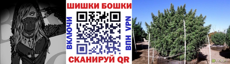 Бошки Шишки марихуана МЕГА маркетплейс Тында