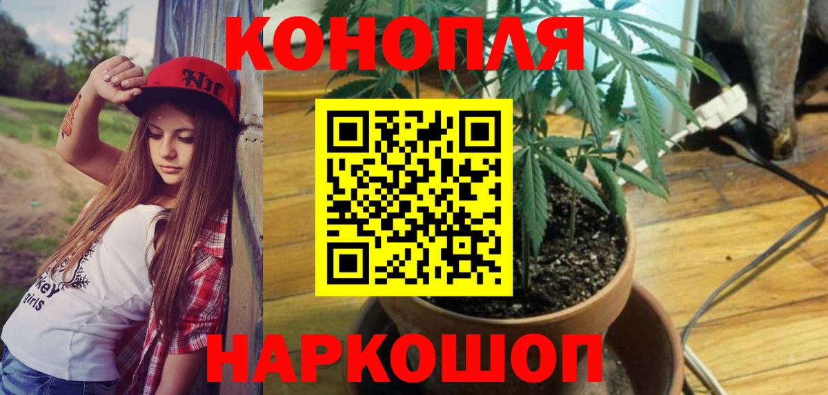 Канабис сатива  Вход с VPN  Шишки марихуана Bruce Banner  Конопля White Widow  Тында 